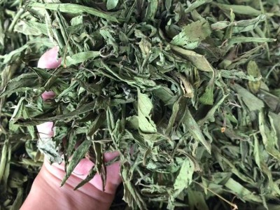 【8元特卖】甜叶菊 新货 制糖 百益寿茶花草代发货配方 货源图4