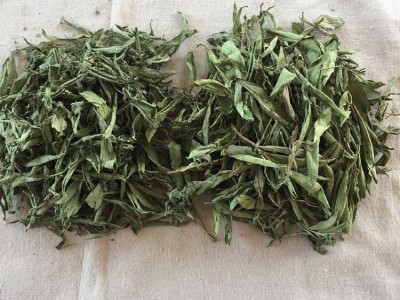 【8元特卖】甜叶菊 新货 制糖 百益寿茶花草代发货配方 货源图2