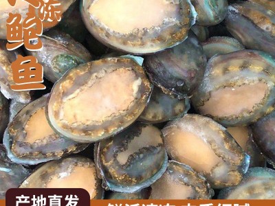 冻干鲍鱼6-12头鲍鱼 海鲜水产酒店佛跳墙食材 带壳活冻大鲍鱼批发图2