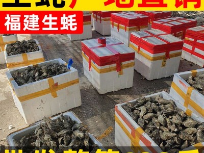 福建鲜活生蚝批发牡蛎海鲜水产带壳烧烤自助 产地直销整箱100斤装图1