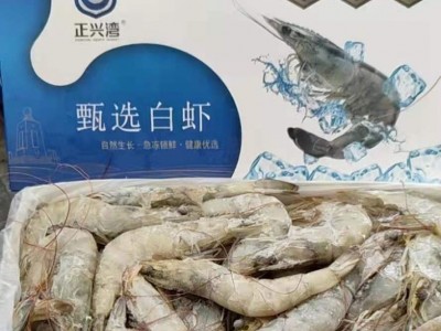 低价 白虾 批发 海鲜 餐饮 烧烤 网店批发 预制菜 自助源头工厂图1