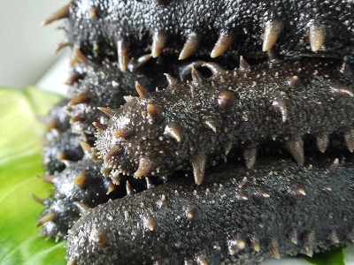 顺丰烟台冷压即食海参鲜活海参开袋即食厂家现货批发代发家庭用图2