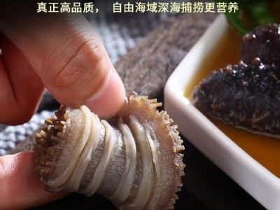 【工厂批发现货】大连海参 辽参 货源充足 电商专供 即食辽参50 0g图3