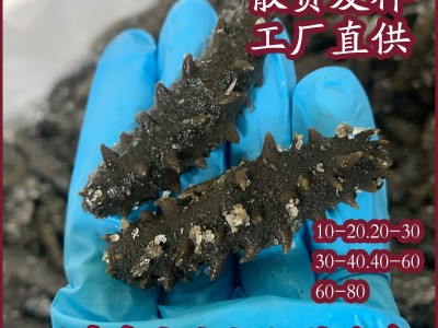 福建中大火拉缸盐海参佛跳墙帝王蟹鲜蒸即食零食礼盒图2