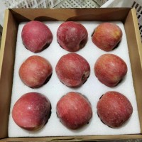 新疆阿克苏苹果当季新鲜果王果园现摘直发多汁苹果礼盒装顺丰包邮