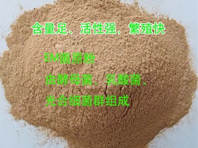 em菌种 含光合细菌 酵母菌 农用 微生物菌剂 复合菌 水产em菌粉图5