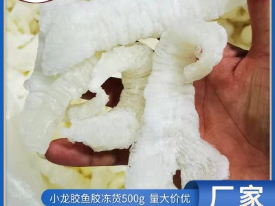 厂家直销小龙胶冷冻水产花胶 尖尾花胶胶鱼肚鱼胶 餐饮批发500g图3