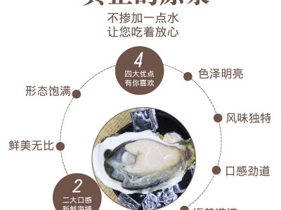 冷冻半壳生蚝 新鲜肥美牡蛎生蚝 烧烤酒店排档食材 鲜活生蚝批发图4