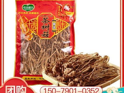 福建茶树菇干货袋装250g 新鲜干菌菇食用送礼厂家批发oem量大优惠图1