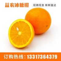 橙子新鲜批发商 基地直供水果橙子新鲜 橙子新鲜冰糖橙产地现货