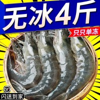新鲜青岛大虾超大海虾海鲜水产鲜活活虾冷冻虾子基围虾