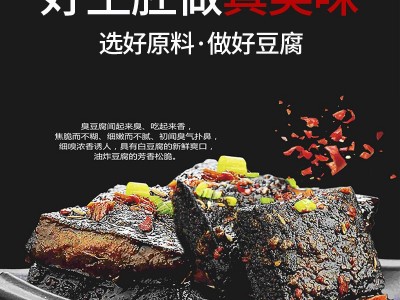 湖南特产豆制品臭豆腐生胚湖南长沙臭豆腐半成品胚子制作厂家批发2件起批图2