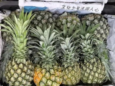 云南金钻凤梨当季新鲜水果手撕凤梨新鲜多汁无眼台湾香水菠萝代发图4