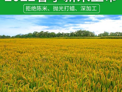 2022新大米长粒香米香软生晒稻谷现碾真空包装5kg籼米富硒米稻米图5