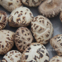 湖北花菇干货500g椴木散装香菇干基地自产自销食用菌  2件起批