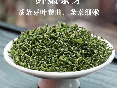 2022新茶香茶叶绿茶炒青松阳日照罐装250g高山云雾绿茶一件代发图2