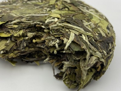 福鼎白茶2020年磻溪高山白牡丹300g白茶茶饼源产地高山茶茶叶批发图2