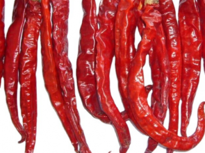 长期供应干辣椒 Dried chilli 欢迎大量订购 价格美丽图2