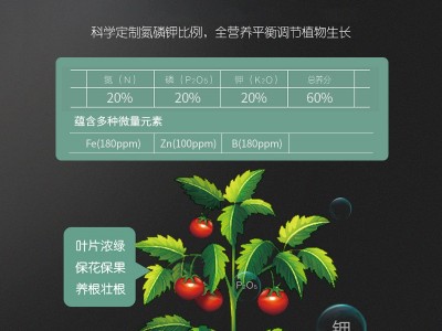 大量元素水溶肥料番茄辣椒蔬菜果树草莓水果冲施肥通用型氮磷钾肥图2