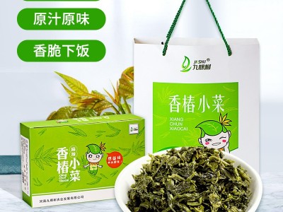 九棵树香椿小菜腌制拌饭拌面下饭菜开袋即食礼提装4盒x5袋x60g图2