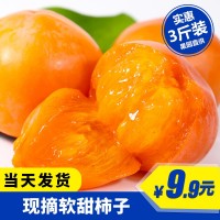 【顺丰】正宗火晶柿子软柿子糖心柿子当季水果应季新鲜现摘代发 2斤起批