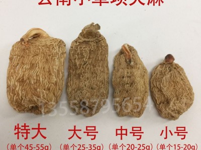 批发陕西天麻 500克 云南昭通小草坝天麻红苗鹦鹉嘴天麻 一件代发图2