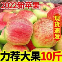 [22年头茬新苹果】脆甜红苹果早熟红富士水果新鲜当季3/5/10斤装 2箱起批