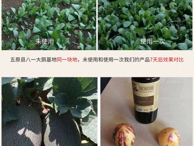 俄罗斯高钙富硒腐植酸液体肥叶面肥矿源黄腐植酸钾生根壮苗膨果肥图5