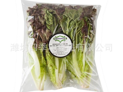 罗莎红生菜 新鲜蔬菜净菜整颗 连锁餐厅 超市批发商 厂家批发供应图5