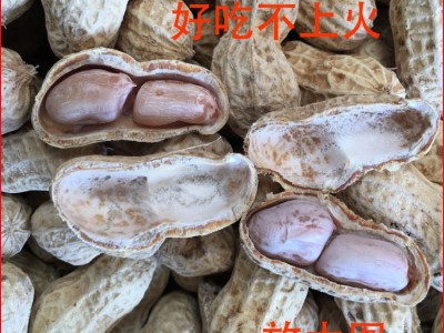 2022年新货白玉咸干花生农家水煮花生白晒咸干盐水煮花生1包50斤图3