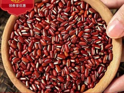 大量批发赤小豆红小豆农家赤小豆 五谷杂粮豆散装赤小豆红小豆图2