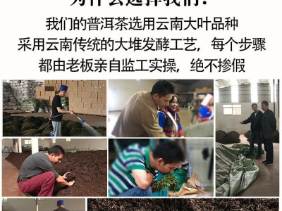 路氏茶业2018年云南大叶种普洱熟茶普洱茶散茶散装批发图4