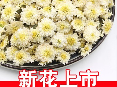 22年新花山里山安徽黄山贡菊散装菊花茶批发产地货源500克白菊花图4