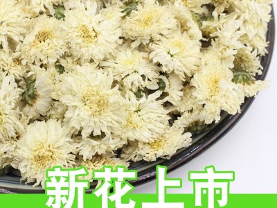 22年新花山里山安徽黄山贡菊散装菊花茶批发产地货源500克白菊花图5