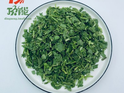 厂家批发FD香菜500g农家散装蔬菜干冻干香菜图5