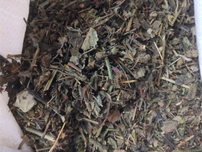 批发供应中药材鼠尾草 别名坑苏 紫花丹 一手货源图3