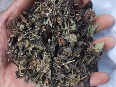 批发供应中药材鼠尾草 别名坑苏 紫花丹 一手货源图5