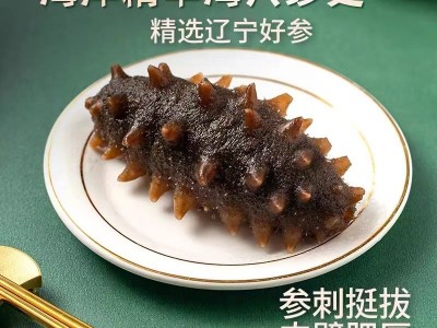 【海参工厂批发】大连即食海参 非干货 辽刺参即食海参礼盒 500g图3