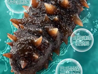 【海参工厂批发】大连即食海参 非干货 辽刺参即食海参礼盒 500g图2