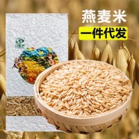 燕麦米坝上高原莜麦坝膳食纤维内蒙古燕麦五谷杂粮