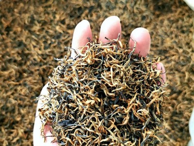 金骏眉茶叶武夷山蜜桂圆香桐木关黑美人2022年新茶红茶散装茶批发  2斤起批图3