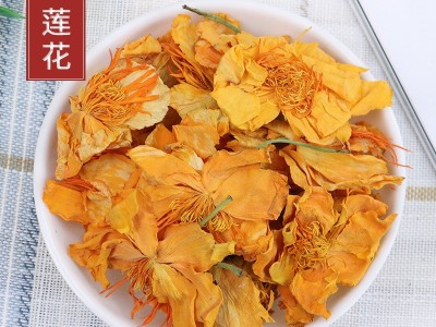 批发大货内蒙 金莲花 金莲花茶 旱荷 旱莲花 量大从优图3