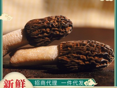 2021新鲜羊肚菌1000g 菌菇土特产煲汤酒店餐饮食材产地货源批发图1