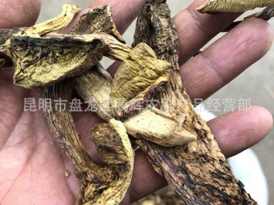 云南特产野生菌干货 黄牛肝菌2020年3月份新货海菌底菌汤火锅图3