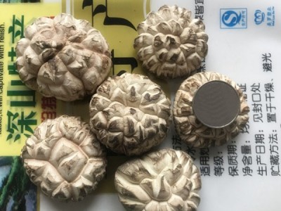 白花菇干货500g包邮西峡特产农家干香菇新品椴木出口大小花菇图4