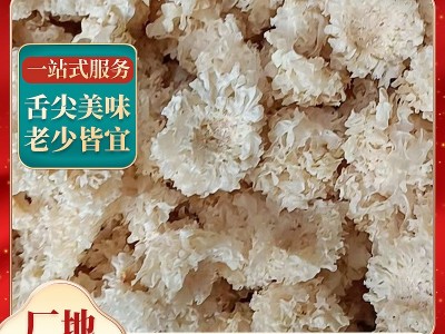 小银耳白木耳古田特产食用菌农产品干货 易糯胶多500g产地直销图2