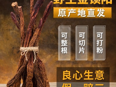 漠缘厂家直销内蒙古锁阳阿拉善金锁阳鲜干片去皮切片批发500g批发图4