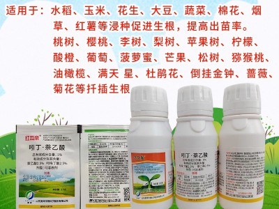 快生根根多多 5%吲丁·萘乙酸 生长调节剂生根剂生根粉量大优惠  10袋起批图5