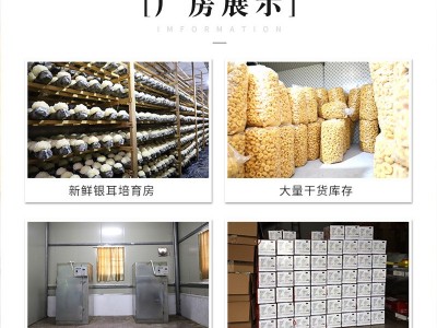 福建古田银耳散装批发干货丑耳糯耳黄金耳莲子羹材料酒店餐饮食材 2件起批图4