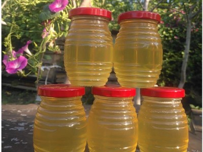 蜂农自产槐花蜜250g瓶装蜂蜜 瓶装槐花蜂蜜 批发  2瓶起批图4